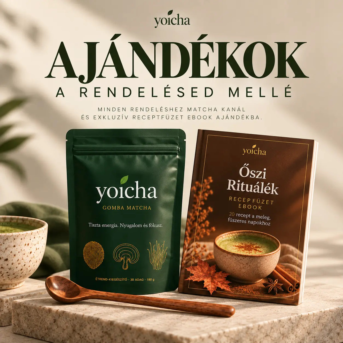Yoicha Gomba Matcha