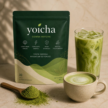 Yoicha Gomba Matcha