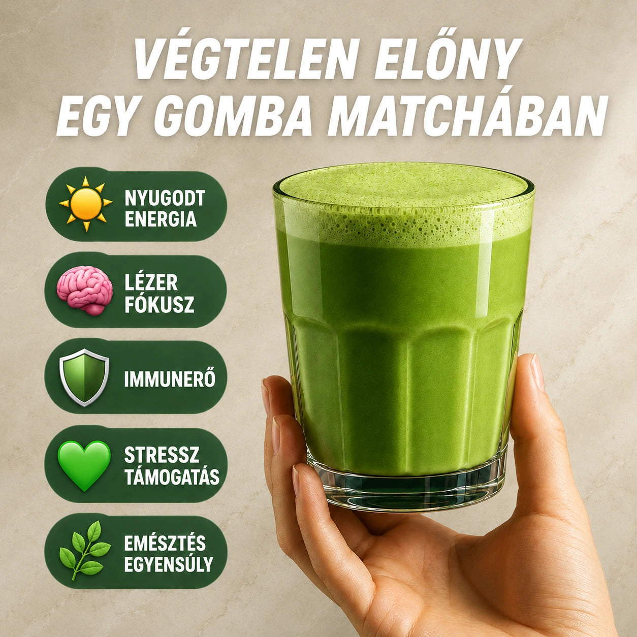 A gomba matcha 5 fő előnye: nyugodt energia, éles fókusz, immunerő, stressz támogatás, emésztési egyensúly