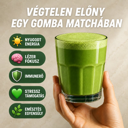 A gomba matcha 5 fő előnye: nyugodt energia, éles fókusz, immunerő, stressz támogatás, emésztési egyensúly