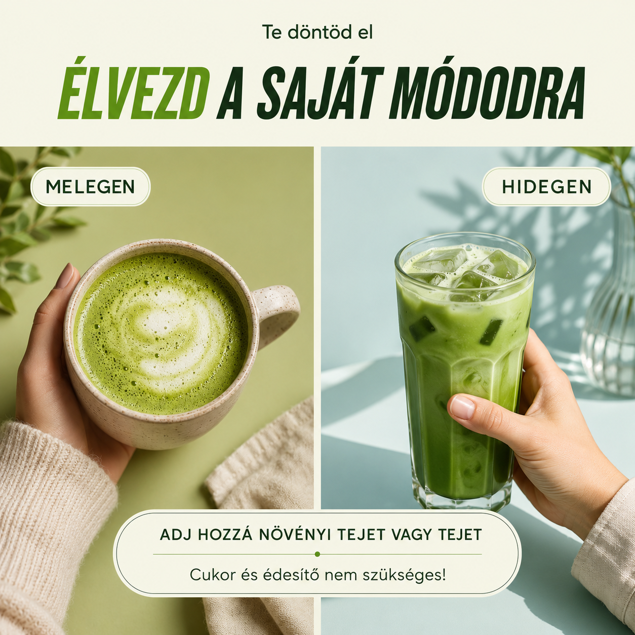 Yoicha gomba matcha fogyasztása melegen és hidegen – latte forma és jeges ital összehasonlítása