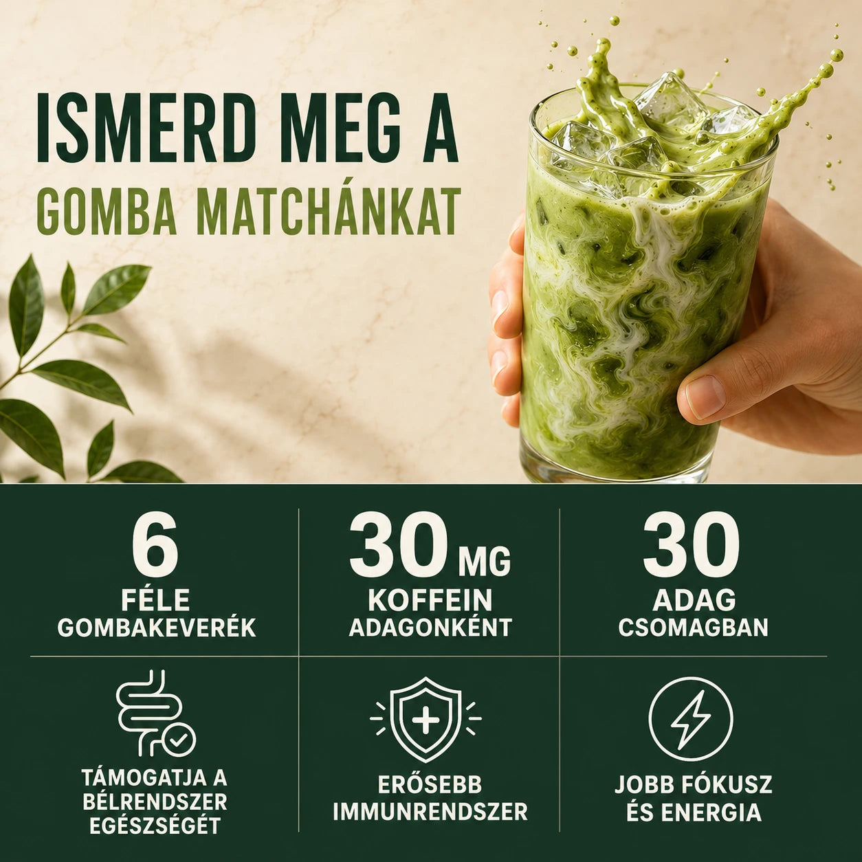 Yoicha gomba matcha jellemzői: 6 féle gombakeverék, 30 mg koffein adagonként, 30 adag egy csomagban
